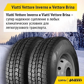 Автошина 215/65 R16C 109/107R VIATTI V-525 Vettore Brina