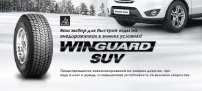 WinGuard SUV