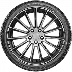 Автошина 155/70 R13 75T DOUBLESTAR DW08 WinterKing