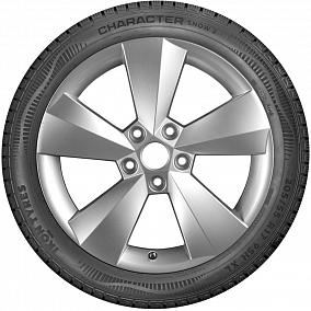 Автошина 205/55 R16 94R XL IKON <Nokian> Character Snow 2