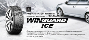 WinGuard Ice