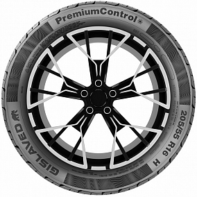 Автошина 205/55 R16 91H GISLAVED PremiumControl