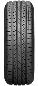Roadian 541