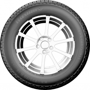 Bravuris 4x4