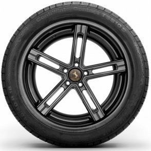 ContiWinterContact TS810S