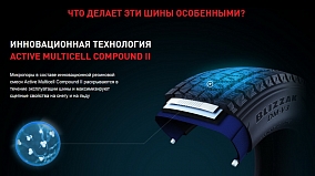 Автошина 275/55 R20 117T XL BRIDGESTONE Blizzak DM-V3