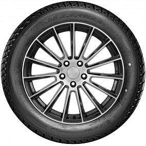 Автошина 245/70 R16 107Q DOUBLESTAR DW01 WinterKing