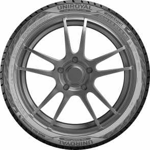 WinterExpert