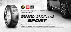 Автошина 235/55 R19 105V XL ROADSTONE WinGuard Sport