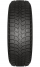 505 Irbis
