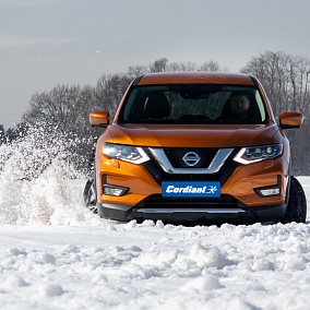 Автошина 215/60 R17 100T XL CORDIANT Winter Drive 2 SUV