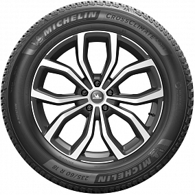 Автошина 255/55 R19 111W XL MICHELIN CrossClimate 2 SUV