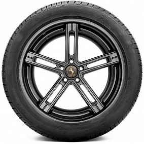 Автошина 205/55 R18 96H XL CONTINENTAL ContiWinterContact TS830P