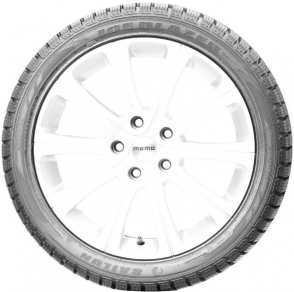 Ice Blazer WST1