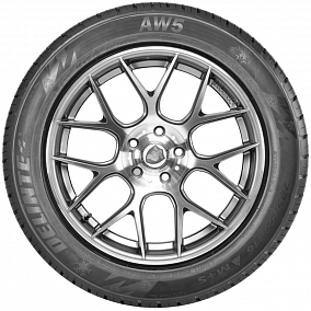Автошина 205/60 R16 96H XL DELINTE AW5
